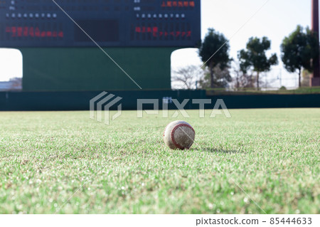 棒球 棒球 85444633
