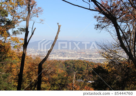 從星田公園眺望大阪市[大阪府] 85444760