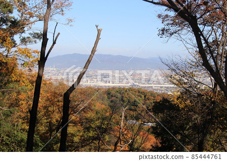 從星田公園眺望大阪市[大阪府] 85444761