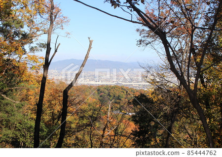 從星田公園眺望大阪市[大阪府] 85444762