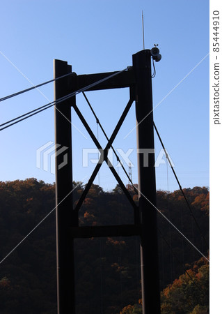 Hoshi no Buranko Bridge 大樑橋 [大阪] 85444910