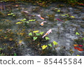 Pond of monet 85445584