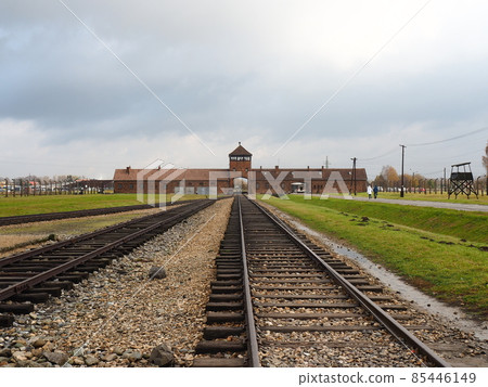 Poland landscape Poland landscape 85446149