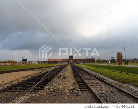 Poland landscape Poland landscape 85446151
