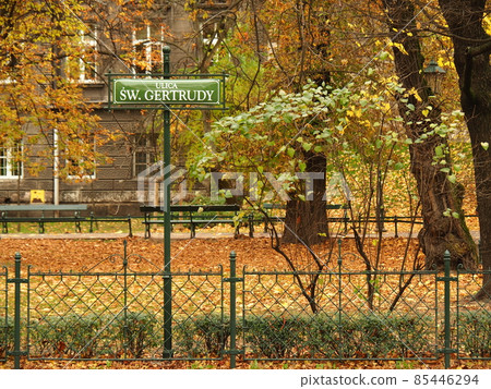 Poland landscape 85446294