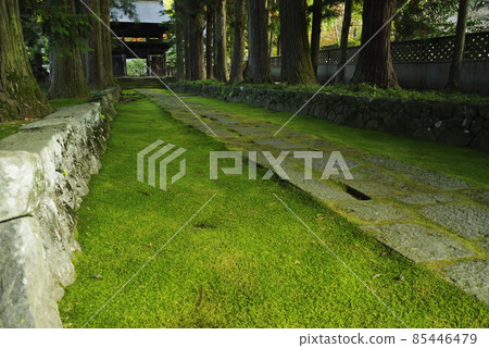 Jixo寺 Jixo寺 85446479