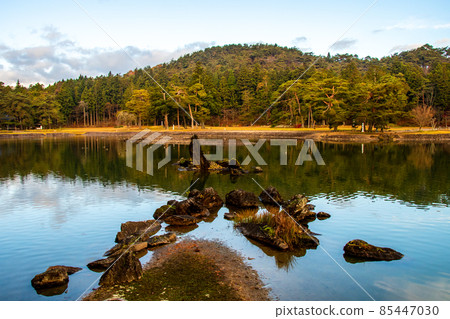 岩手縣平泉世界遺產毛辻寺大泉是池塘出島石群和池中立石 85447030