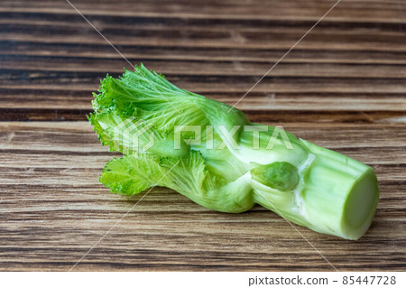 冬季季節性兒童芥末芥末 冬季季節性兒童芥末芥末 85447728