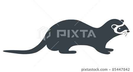 ferret ferret 85447842