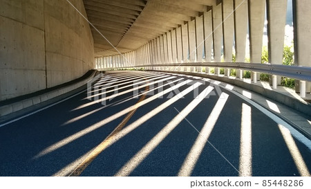 Road of morning light and shadow 85448286