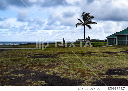 Hawaiian island scene Hawaiian island scene 85448687