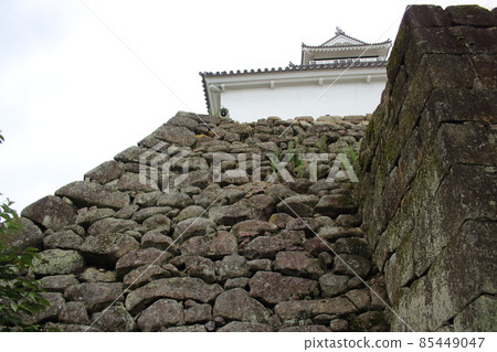 城堡石牆和城堡塔 城堡石牆和城堡塔 85449047