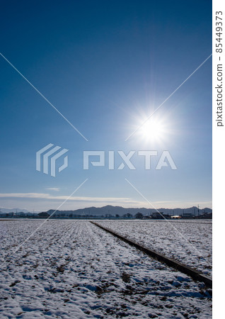 Snow scene in the countryside of Konan region, Shiga prefecture Snow scene in the countryside of Konan region, Shiga prefecture 85449373