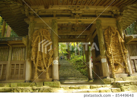 Baekjeji Baekjeji 85449648