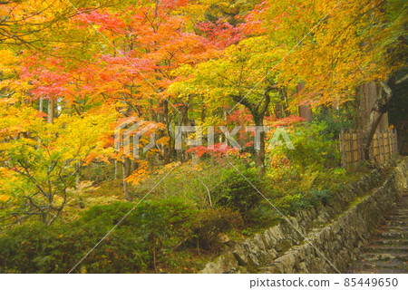 Baekjeji Baekjeji 85449650