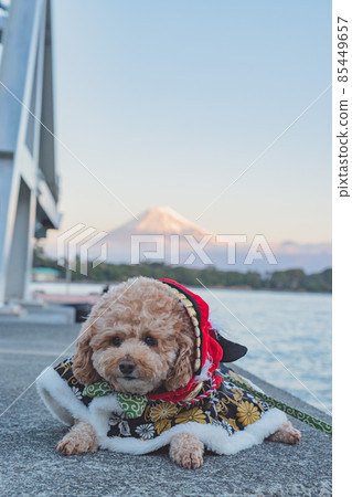 富士山和一條狗 富士山和一條狗 85449657