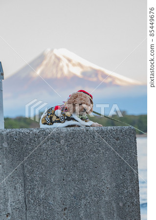 Mount Fuji and a dog Mount Fuji and a dog 85449676