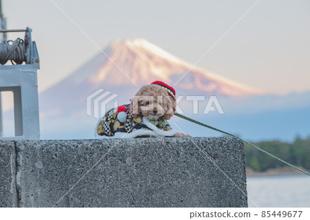 Mount Fuji and a dog Mount Fuji and a dog 85449677