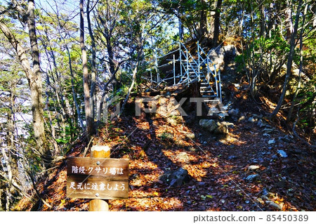 Chichibu Mitsumine Shrine Okumiya Stairs on the mountain trail to Myohogadake 85450389