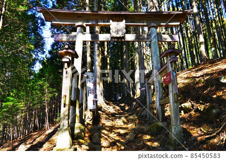 Chichibu Mitsuminesan Mitsumine Shrine Okumiya torii on the mountain trail 85450583