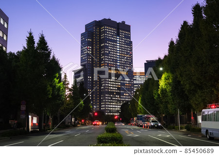 黃昏的東京山王公園塔千代田區 85450689
