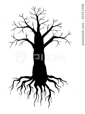 Big tree without leaves 85451406