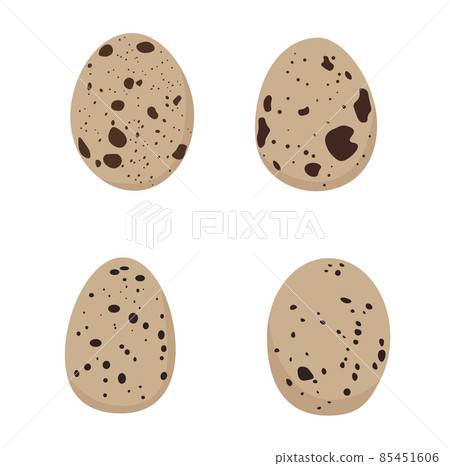 Quail eggs. Vector stock illustration. Isolated on a white background. Quail eggs. Vector stock illustration. Isolated on a white background. 85451606