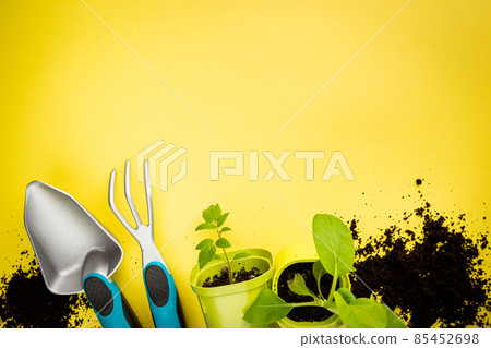 Gardening or planting concept. Gardening or planting concept. 85452698