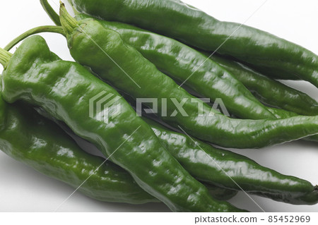 Sweet long bean sprout Sweet long bean sprout 85452969