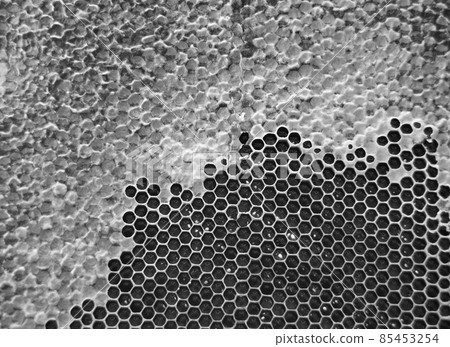 Drop of bee honey drip from hexagonal honeycombs Drop of bee honey drip from hexagonal honeycombs 85453254