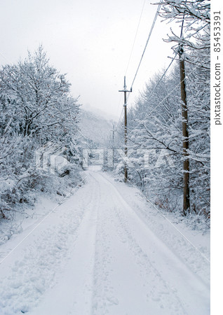 isolated country road in heavy snow isolated country road in heavy snow 85453391