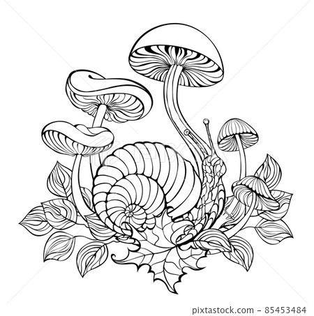 Snail with contour mushrooms Snail with contour mushrooms 85453484