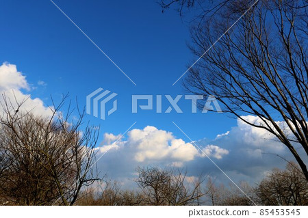 冬日的白雲,清新的藍天風景 冬日的白雲,清新的藍天風景 85453545