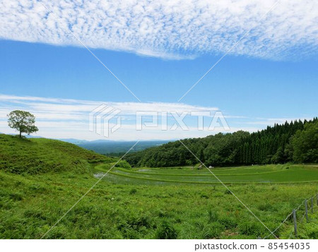 熊本縣產山的田園風光、草原和梯田 85454035