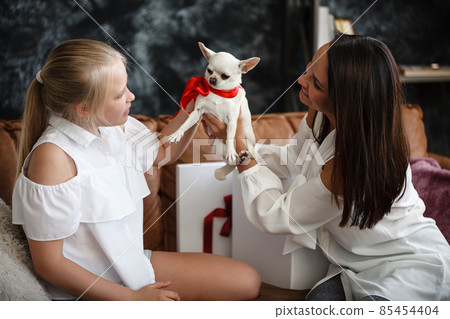 Mother and daughter relationship concept. A woman congratulates happy teenage girl on her birthday and gives her a gift. A dog in box. The family celebrates anniversary at home. Mother and daughter relationship concept. A woman congratulates happy teenage girl on her birthday and gives her a gift. A dog in box. The family celebrates anniversary at home. 85454404
