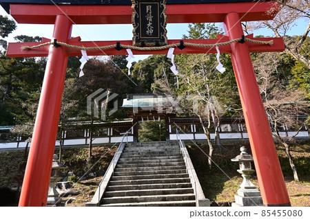 月讀神社的鳥居 月讀神社的鳥居 85455080