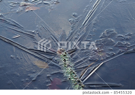 The art of ice that appeared in the pond in the morning below freezing 85455320