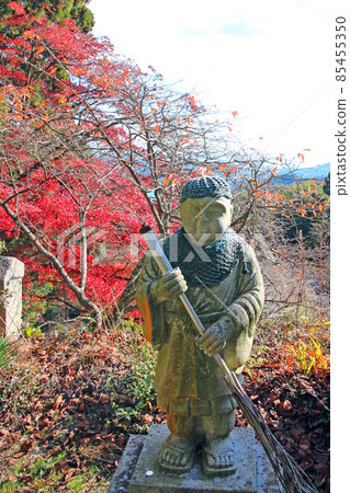 Obi Kaneko秋葉 Obi Kaneko秋葉 85455350