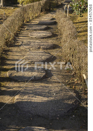 Stepping stones bathed in the sun surrounded by low hedges Stepping stones bathed in the sun surrounded by low hedges 85457068