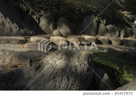 Stepping stones and Kiyosumi garden in the sunlight Stepping stones and Kiyosumi garden in the sunlight 85457075