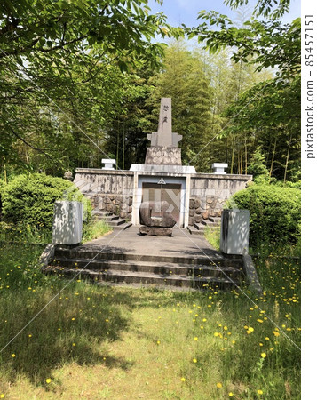 "Gasantoda Castle, Hirose Town War Dead Memorial Tower in Okushoin, where flatweed (flatweed) grows" (Yasugi City, Shimane Prefecture) 85457151