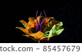 Alien Rainbow Flowers Close View 3D Render 85457679