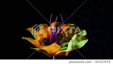 Alien Rainbow Flowers Close View 3D Render Alien Rainbow Flowers Close View 3D Render 85457679