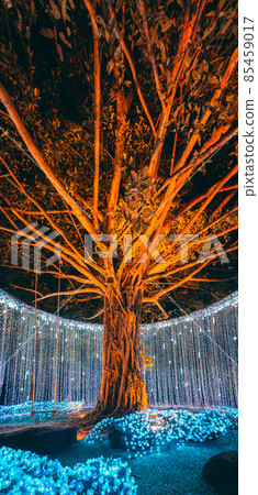 Buddhist tradition light festival in Ratchaburi, Nasatta, Thailand Buddhist tradition light festival in Ratchaburi, Nasatta, Thailand 85459017