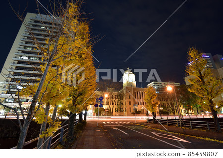 Sunpujo公園(靜岡市政府)周圍的夜景 211212pm 6:02 Sunpujo公園(靜岡市政府)周圍的夜景 211212pm 6:02 85459807