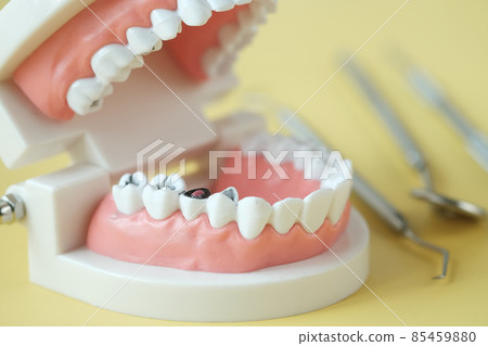 plastic dental teeth model on white background plastic dental teeth model on white background 85459880