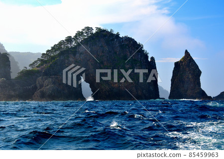 Kitayamazaki Cliff Cruise, a symbol of Yagoshizaki (Cape Yagoshi), a sea cave at the tip and candle rock, Tohoku, Iwate Prefecture, Tanohata Village (6) Kitayamazaki Cliff Cruise, a symbol of Yagoshizaki (Cape Yagoshi), a sea cave at the tip and candle rock, Tohoku, Iwate Prefecture, Tanohata Village (6) 85459963