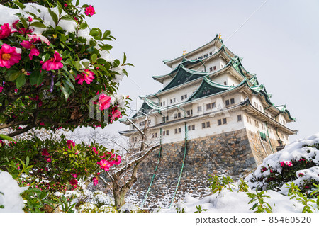 Snow Nagoya Castle <Nagoya City, Aichi Prefecture> Snow Nagoya Castle <Nagoya City, Aichi Prefecture> 85460520