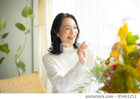 針織的中間女人 85461251