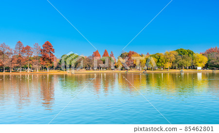 東京水本公園秋葉 85462801